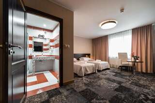 Отель Hotel Coloseum Ярослав Стандартный двухместный номер с 1 кроватью-1